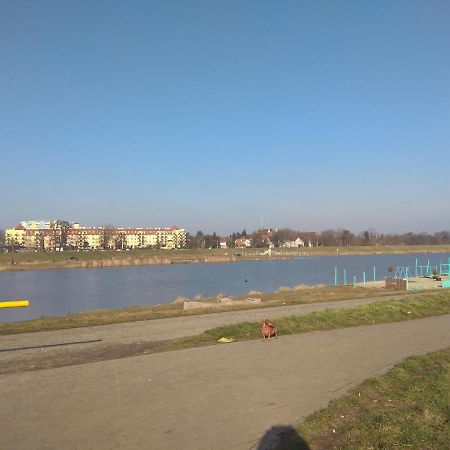 Nighthost- Trzebnicka 84 Appartamento Breslavia Esterno foto